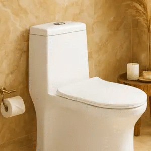 One-Piece Ceramic Toilet with Dual-Flush