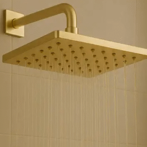 head Shower Head
